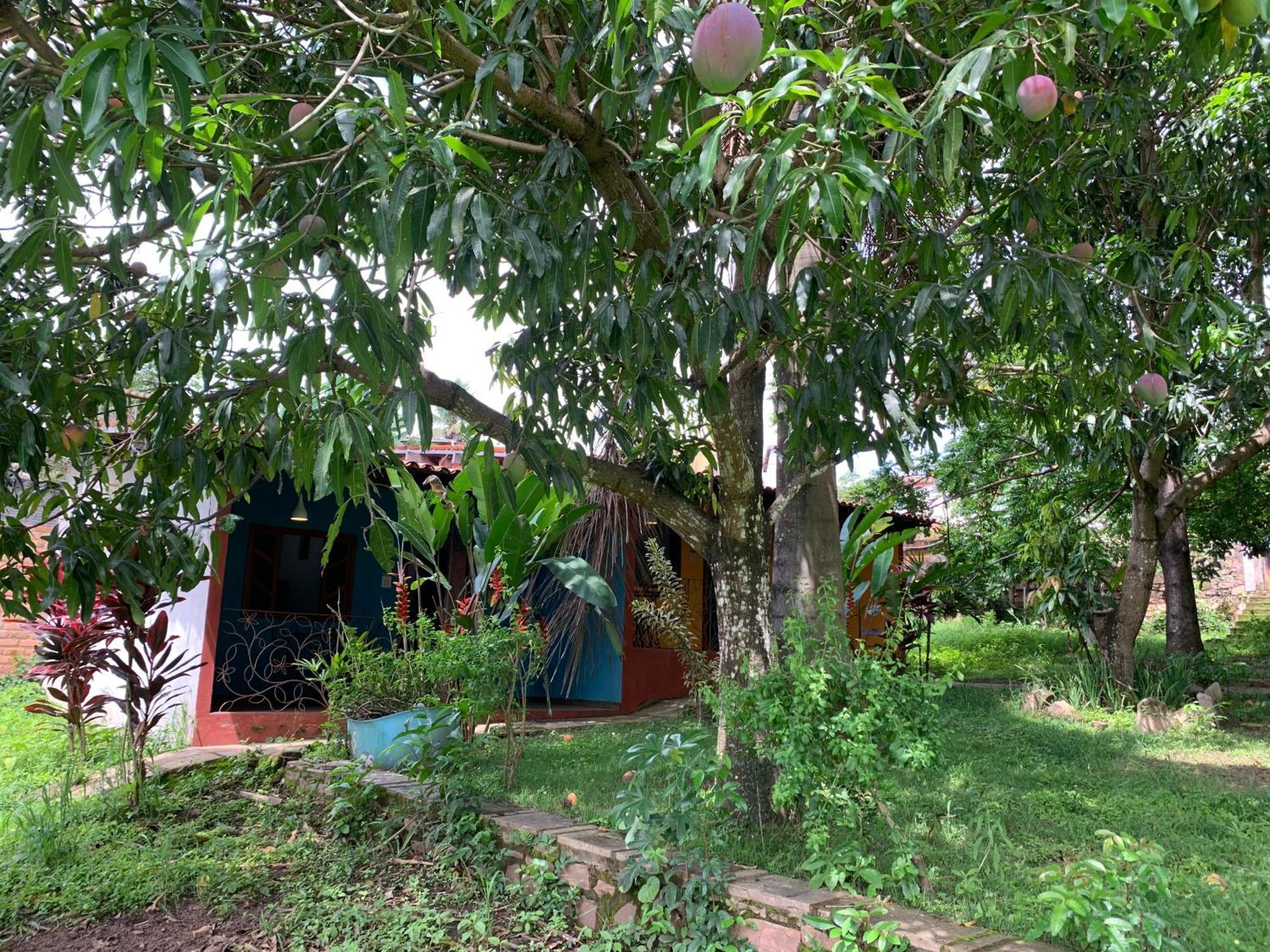 Pousada E Camping Lumiar Lencois Eksteriør billede